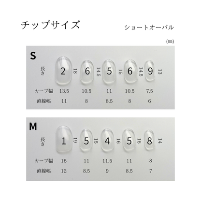 Ash Blue Gradation（アッシュブルーグラデーション）